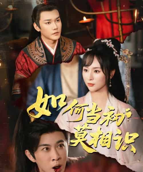 如何当初莫相识 如何当初莫相识