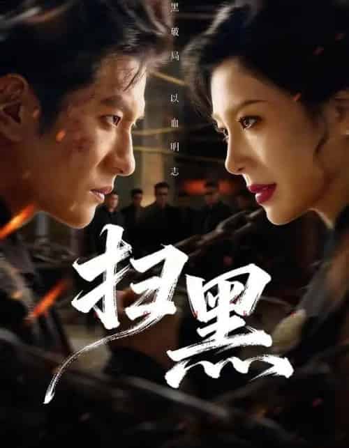 扫黑（70集全）黄涛＆章滢-海之城短剧项目