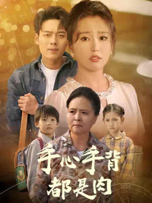 手心手背都是肉（80集全） - 海之城短剧