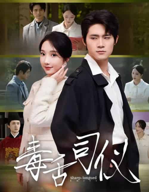 毒舌司仪（80集全）江雨淞＆王昕玥-海之城短剧项目