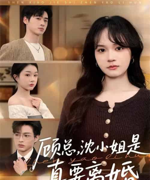 顾总，沈小姐是真要离婚（81集全）武帅康＆彭慧玲-海之城短剧项目