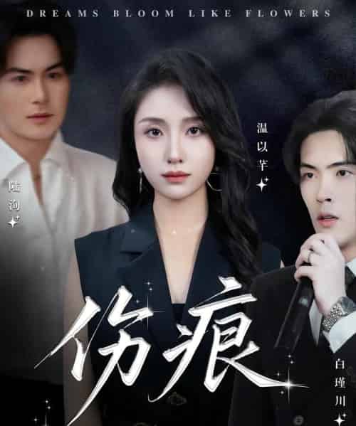 伤痕（60集）杨屿骁＆龙玥霖 - 海之城短剧