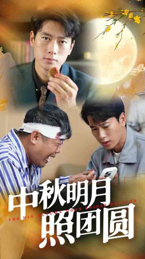 中秋明月照团圆（52集）王小野 - 海之城短剧