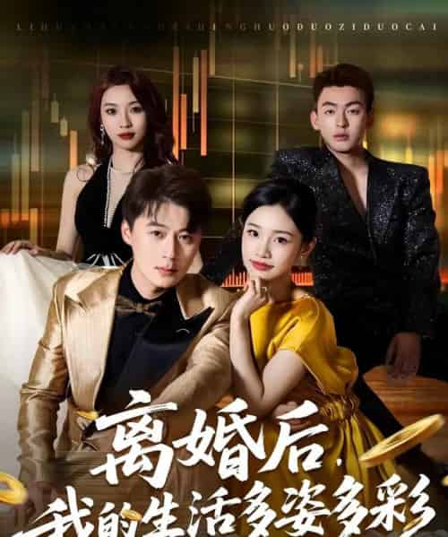 离婚后，我的生活多姿多彩（64集全）李诗林＆戴金麟-海之城短剧项目