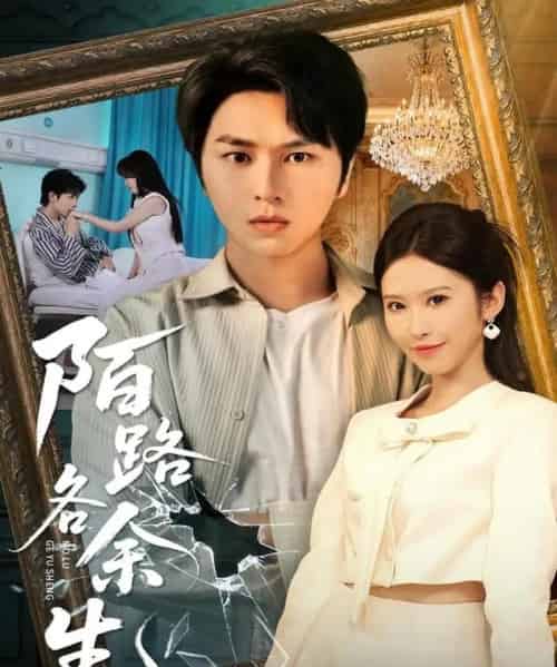 陌路各余生（65集全）张易嵘＆秦玺＆王珊珊-海之城短剧项目