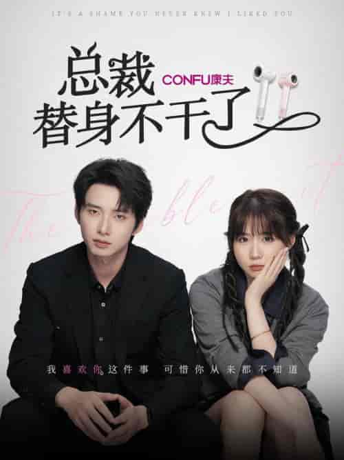 总裁替身不干了（6集全）丁公子＆彬彬 - 海之城短剧