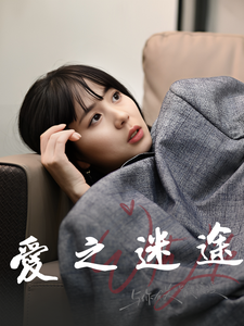 爱之迷途（42集） - 海之城短剧