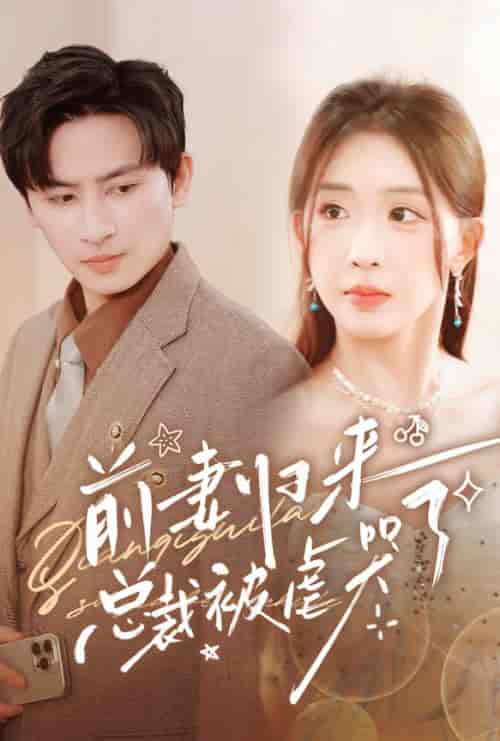 前妻归来总裁被虐哭了 前妻归来总裁被虐哭了