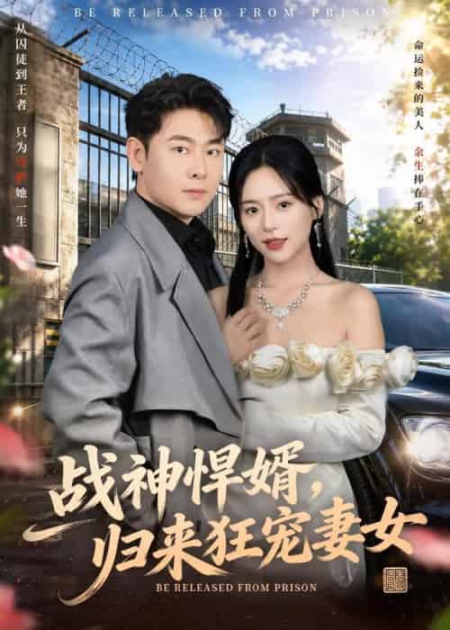 战神悍婿，归来狂宠妻女（83集全）李政宇＆江十安-海之城短剧项目