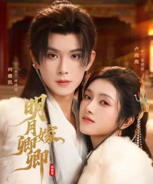 明月嫁卿卿（82集全）何善凯＆卢鹿鹿-海之城短剧项目