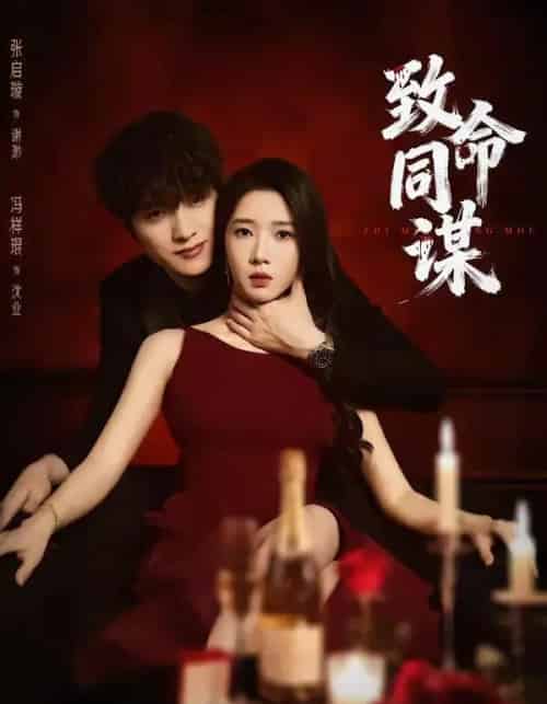 致命同谋（63集全）冯祥琨＆张启旋-海之城短剧项目