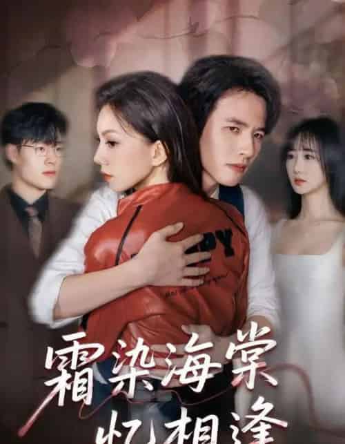 霜染海棠忆相逢（72集全）庄逸涵＆张天宇-海之城短剧项目