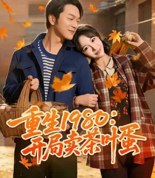 重生1980：开局卖茶叶蛋（80集全）王雅清＆胥宁轲-海之城短剧项目