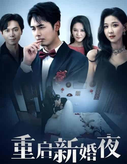 重启新婚夜（61集） - 海之城短剧