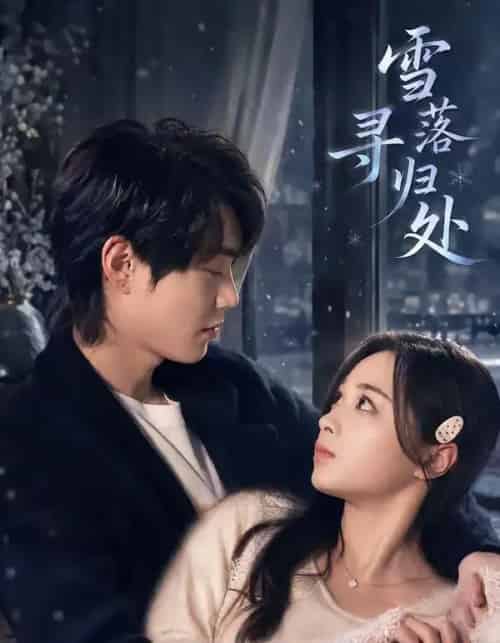 雪落寻归处（60集全）邓漫仪＆张凌尘-海之城短剧项目