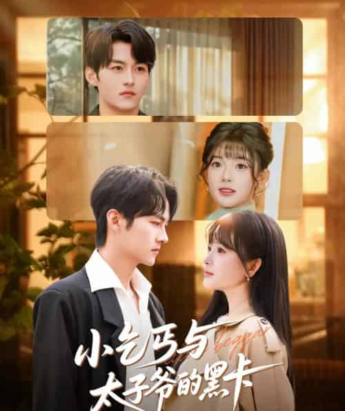 小乞丐与太子爷的黑卡（60集全）臧晓嘉（嘉言）＆远雨艾-海之城短剧项目
