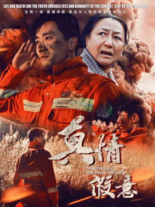 真情假意（62集） - 海之城短剧