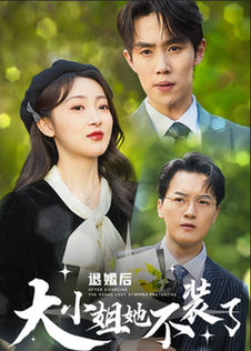 退婚后大小姐她不装了（37集全） - 海之城短剧