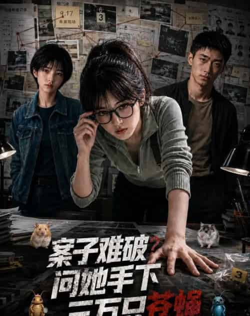 案子难破：问她手下三万只苍蝇（67集全）AI-海之城短剧项目