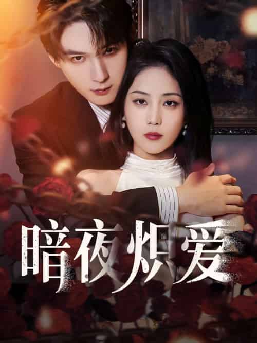 暗夜炽爱 暗夜炽爱