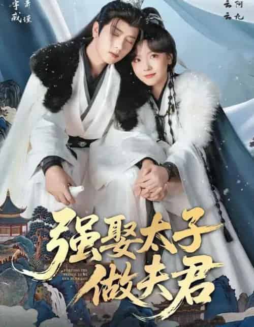 强娶太子做夫君（67集全）王宇威＆王云云-海之城短剧项目