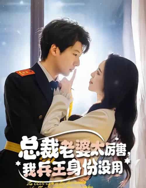 总裁老婆太厉害，我兵王身份没用（80集全）刘照娅＆戚正-海之城短剧项目