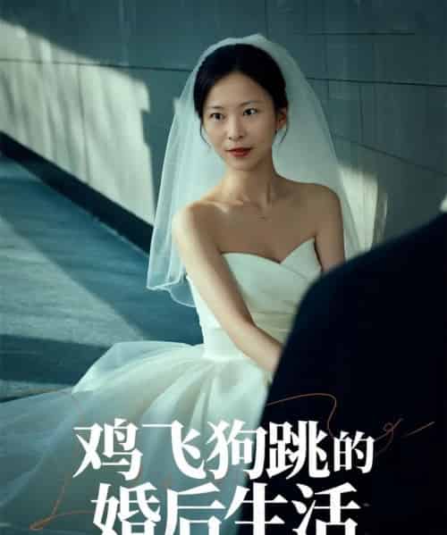 鸡飞狗跳的婚后生活（28集）杨静静-海之城短剧项目