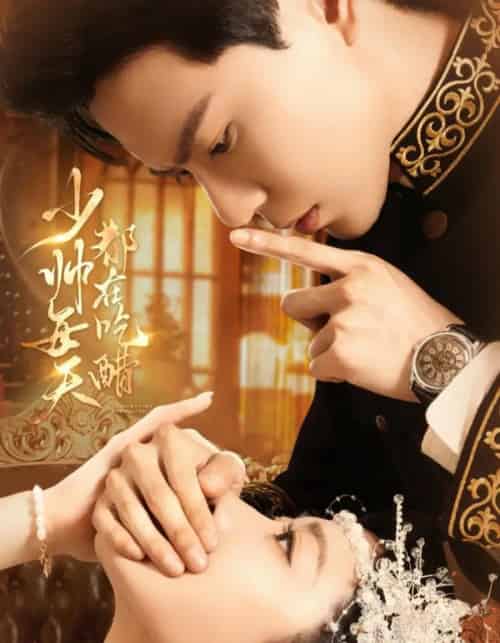 少帅每天都在吃醋（81集全）黄浩雯＆袁雨涵-海之城短剧项目