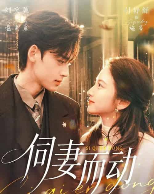 伺妻而动（90集全）刘笑驰＆付妤舒-海之城短剧项目
