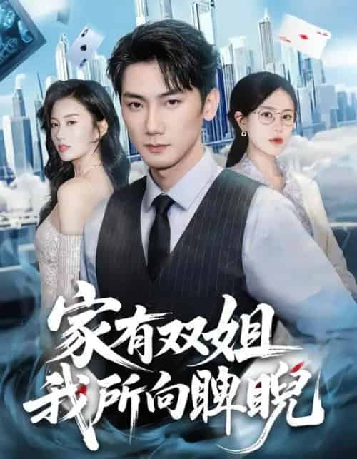 家有双姐，我所向睥睨（60集全）暖小新＆孙琳-海之城短剧项目