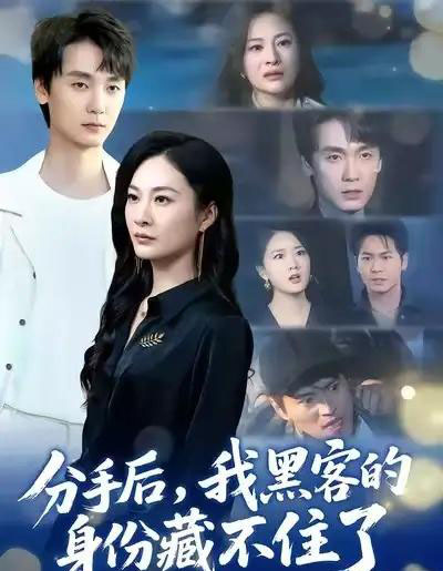 分手后，我黑客的身份藏不住了（80集全）宋雯娟＆唐元盛-海之城短剧项目