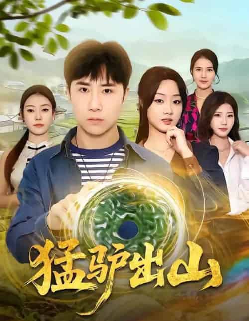 猛驴出山（80集全）侯建楠＆王楚贤-海之城短剧项目