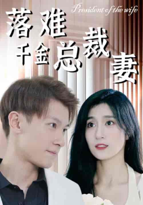 落难千金总裁妻 落难千金总裁妻