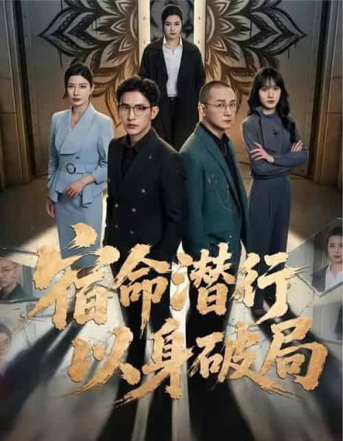 宿命潜行，以身破局（80集全）张恩浩＆宗白铧 - 海之城短剧