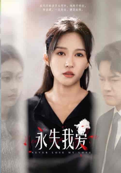 永失我爱（45集全）林正宇＆杨慧慧 - 海之城短剧