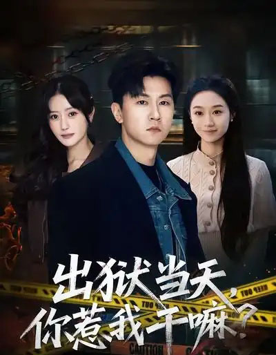 出狱当天，你惹我干嘛？（62集全）王鹏＆郑皓月-海之城短剧项目