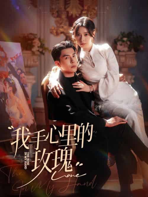 我手心里的玫瑰（91集全）李佳琛＆韩琪 - 海之城短剧