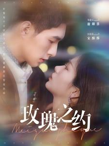 玫瑰之约（95集）邹盛文＆田苗苗 - 海之城短剧