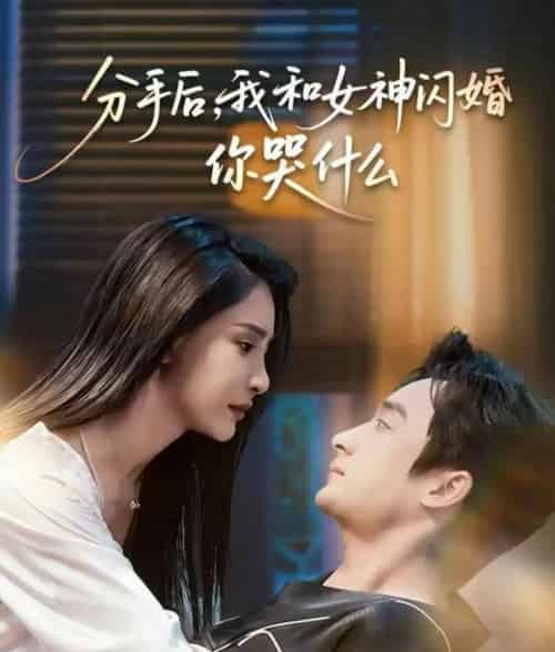 分手后，我和女神闪婚你哭什么＆悲欢离合总无情（80集全）王家霖＆许子吟-海之城短剧项目