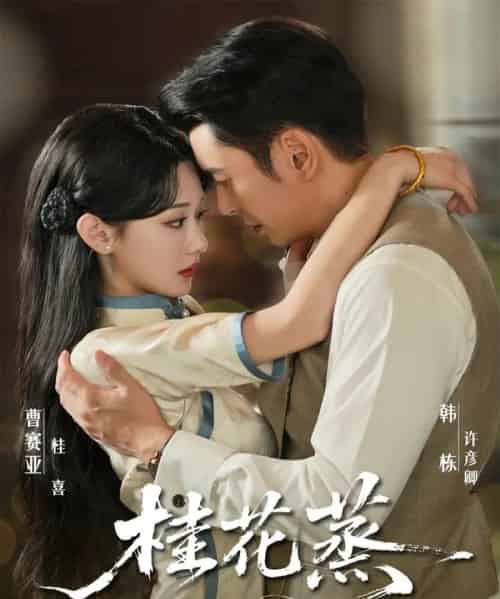 桂花蒸（79集全）韩栋＆曹赛亚-海之城短剧项目