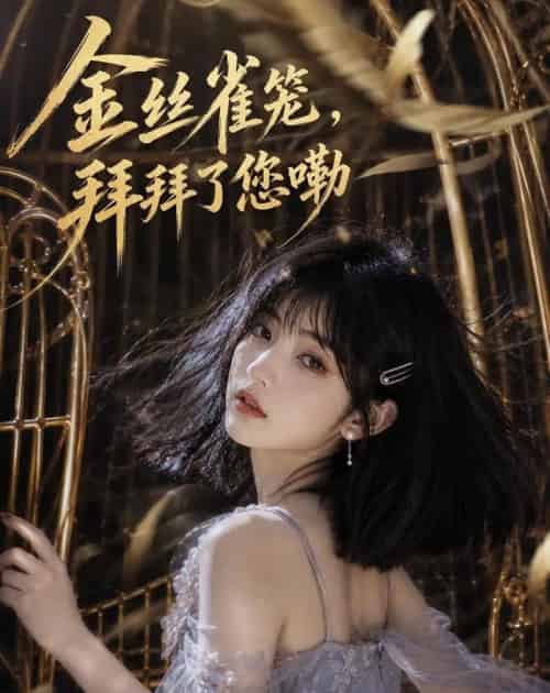 金丝雀笼，拜拜了您嘞（40集全）AI-海之城短剧项目