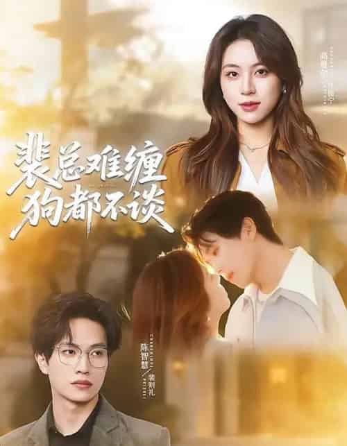 裴总难缠狗都不谈（65集全）陈智慧＆高曼尔-海之城短剧项目