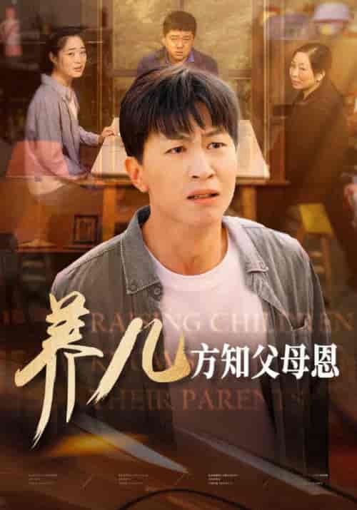 养儿方知父母恩（48集全）陈雨飞＆陈雨涵 - 海之城短剧