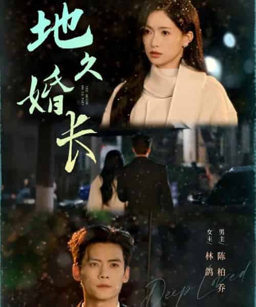 地久婚长（69集全）陈柏乔＆林鸽-海之城短剧项目