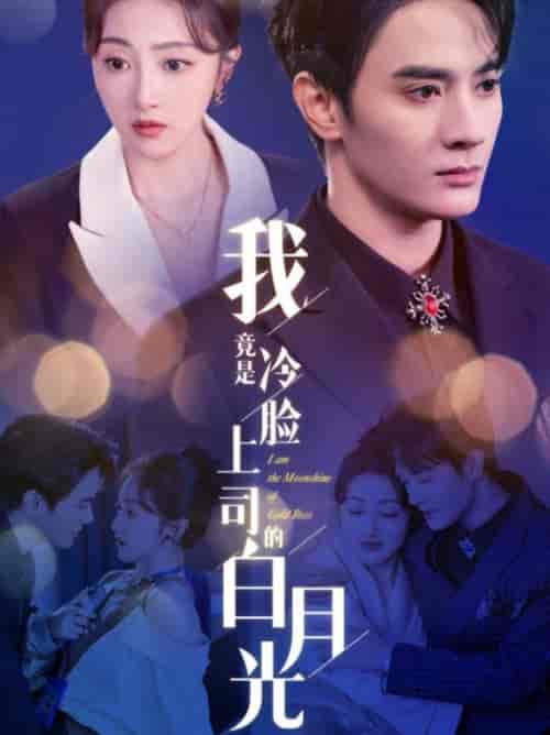 我竟是冷脸上司的白月光（80集全）陈冠峄＆海依凡 - 海之城短剧