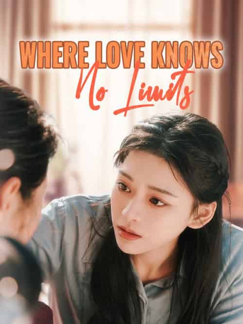 Where Love Knows No Limits（90集全）John＆Gray＆＆Emily＆Finn - 海之城海外短剧