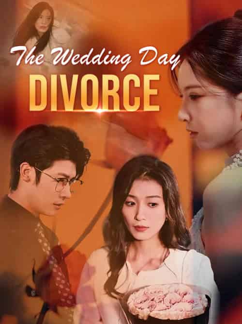 The Wedding Day Divorce The Wedding Day Divorce
