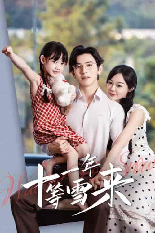 十一年等雪来（50集全）赵冠宇＆蔚琳 - 海之城短剧