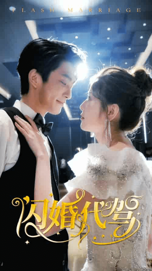 闪婚代驾（81集） - 海之城短剧