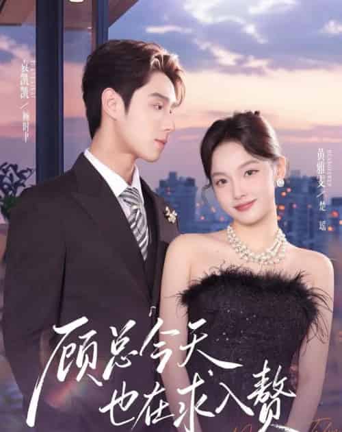 顾总今天也在求入赘（80集全）袁凯凯＆黄雅雯-海之城短剧项目